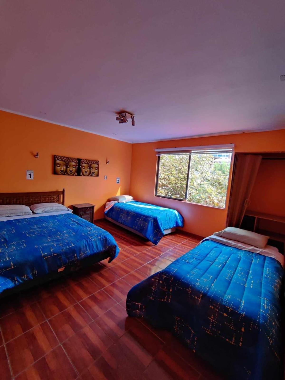 Hotel Casa Del Profesor イキケ エクステリア 写真